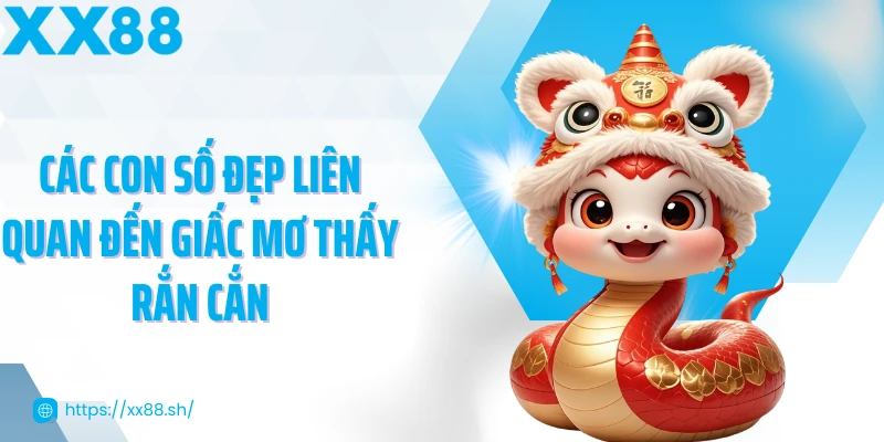 cac-con-so-dep-lien-quan-den-giac-mo-thay-ran-can