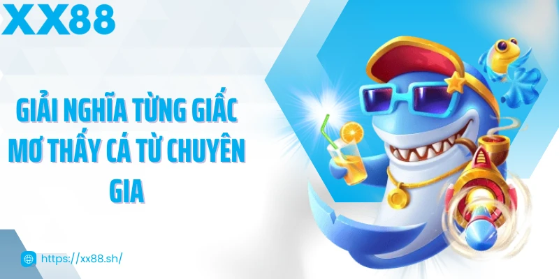 giai-nghia-tung-giac-mo-thay-ca-tu-chuyen-gia