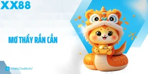 mo-thay-ran-can-thumb