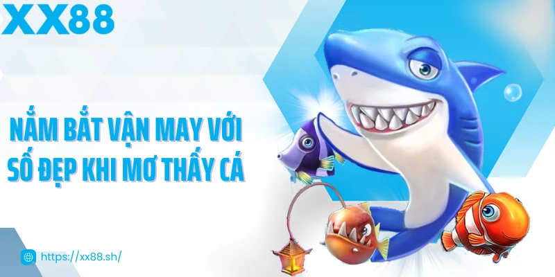 Nắm bắt vận may với số đẹp khi mơ thấy cá