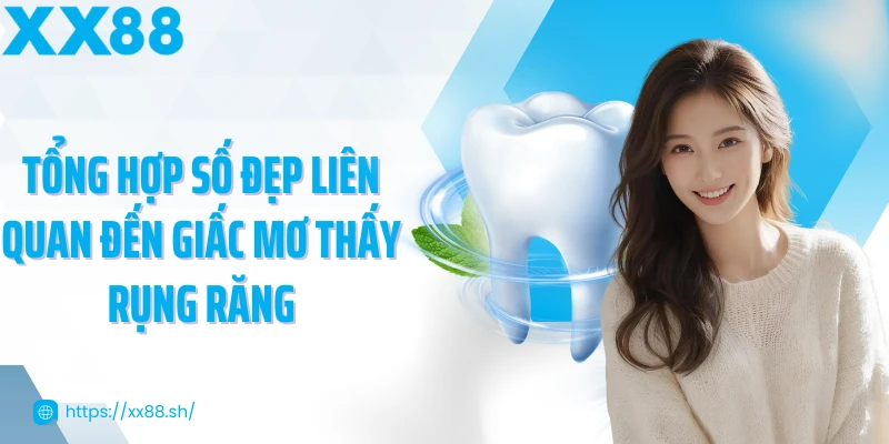 tong-hop-so-dep-lien-quan-den-giac-mo-thay-rung-rang